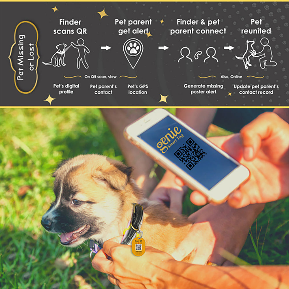 Genie Smart Pet Tag - Heads Up For Tails