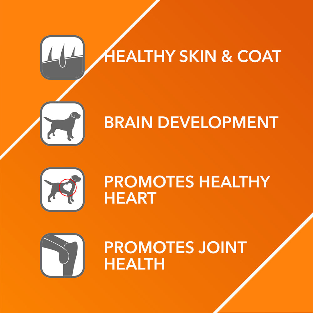 Drools Absolute Salmon Oil Syrup For Dogs - Heads Up For Tails