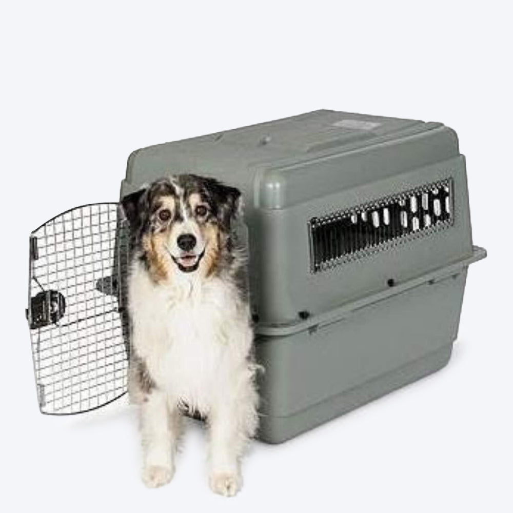 Petmate Sky Kennel - Light Gray - Heads Up For Tails