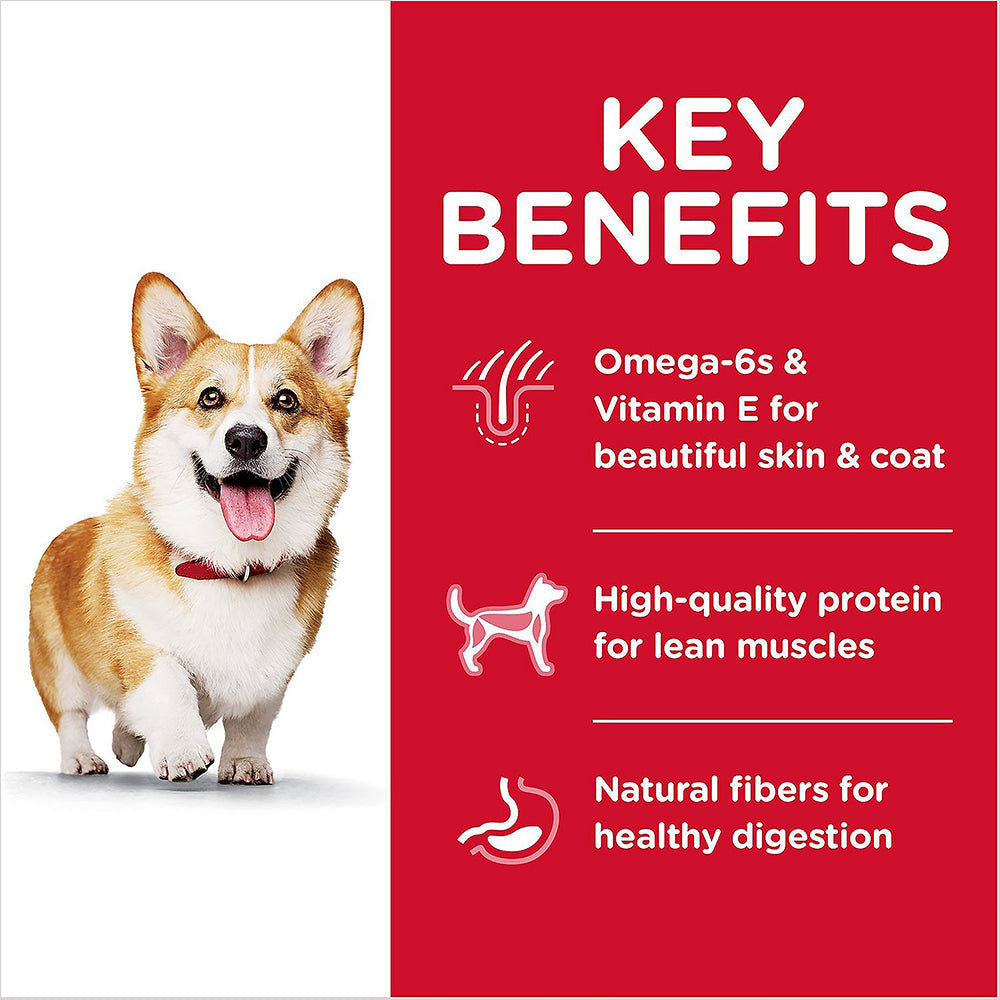 Hills Science Diet Small Bites Lamb Meal And Brown Rice Adult Dry Dog Food - 3 kg - Heads Up For Tails