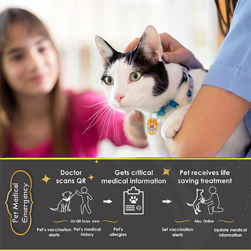 Genie Smart Pet Tag - Heads Up For Tails