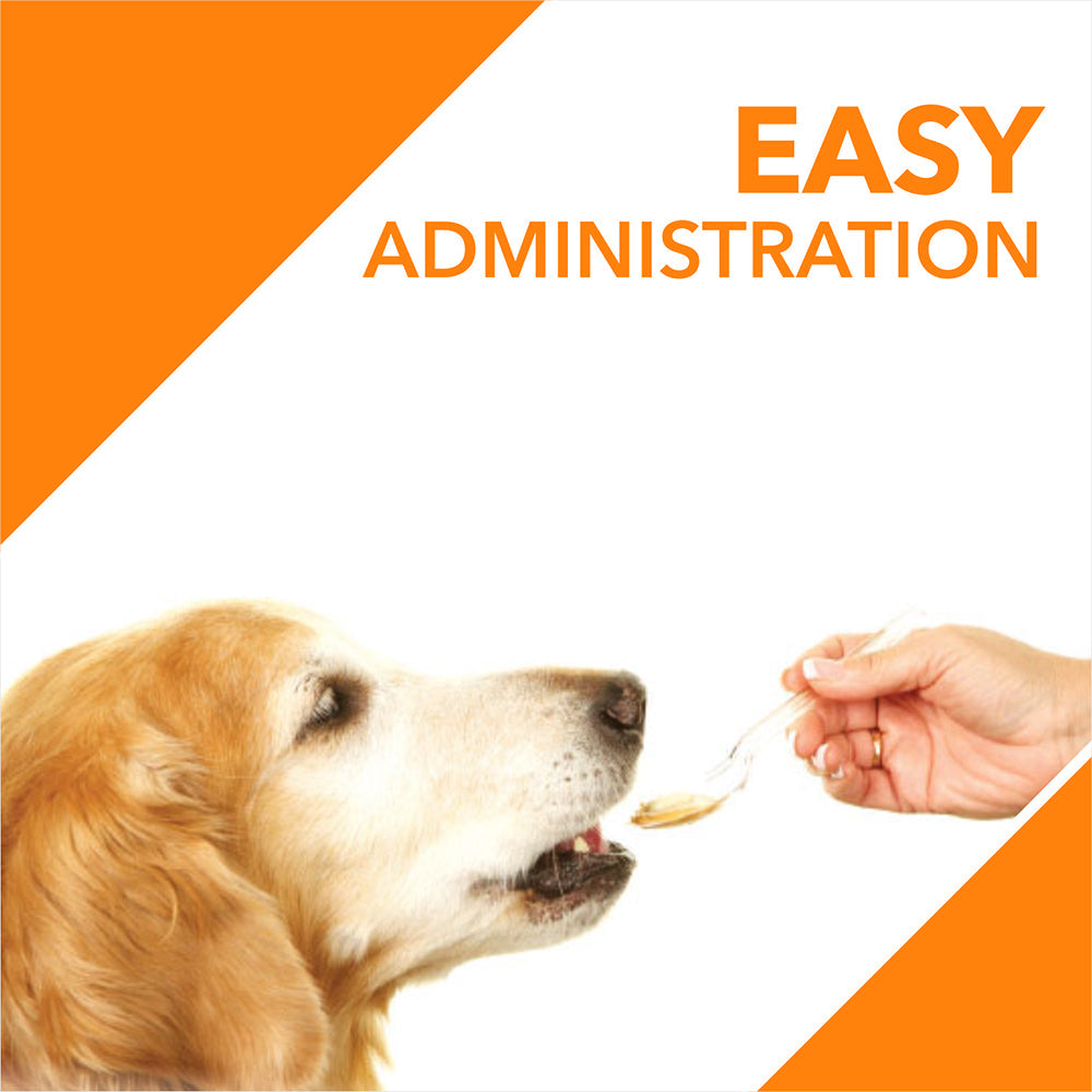 Drools Absolute Salmon Oil Syrup For Dogs - Heads Up For Tails