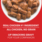 Drools Real Chicken and Chicken Liver Chunks in Gravy Adult Wet Food For Dogs - 150g - Heads Up For Tails