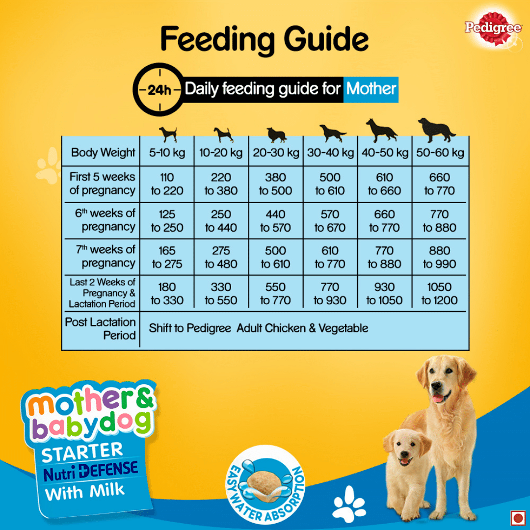Pedigree Starter Nutri Defense With Milk Pregnant/ Lactating Mothers & Pups (3-12 Weeks) Dry Dog Food - Heads Up For Tails