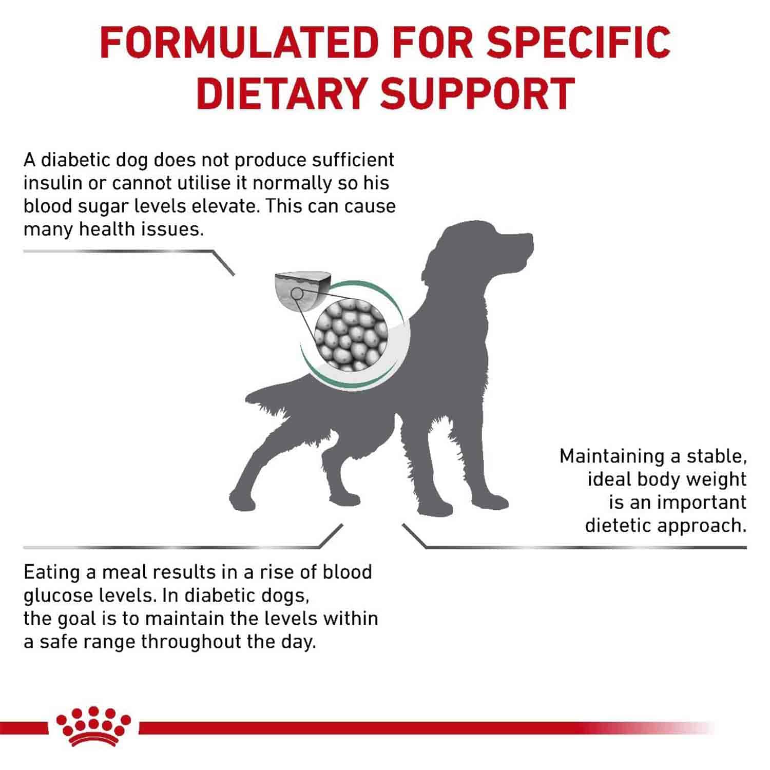 Royal Canin Diabetic Dry Dog Food - 1.5 kg - Heads Up For Tails