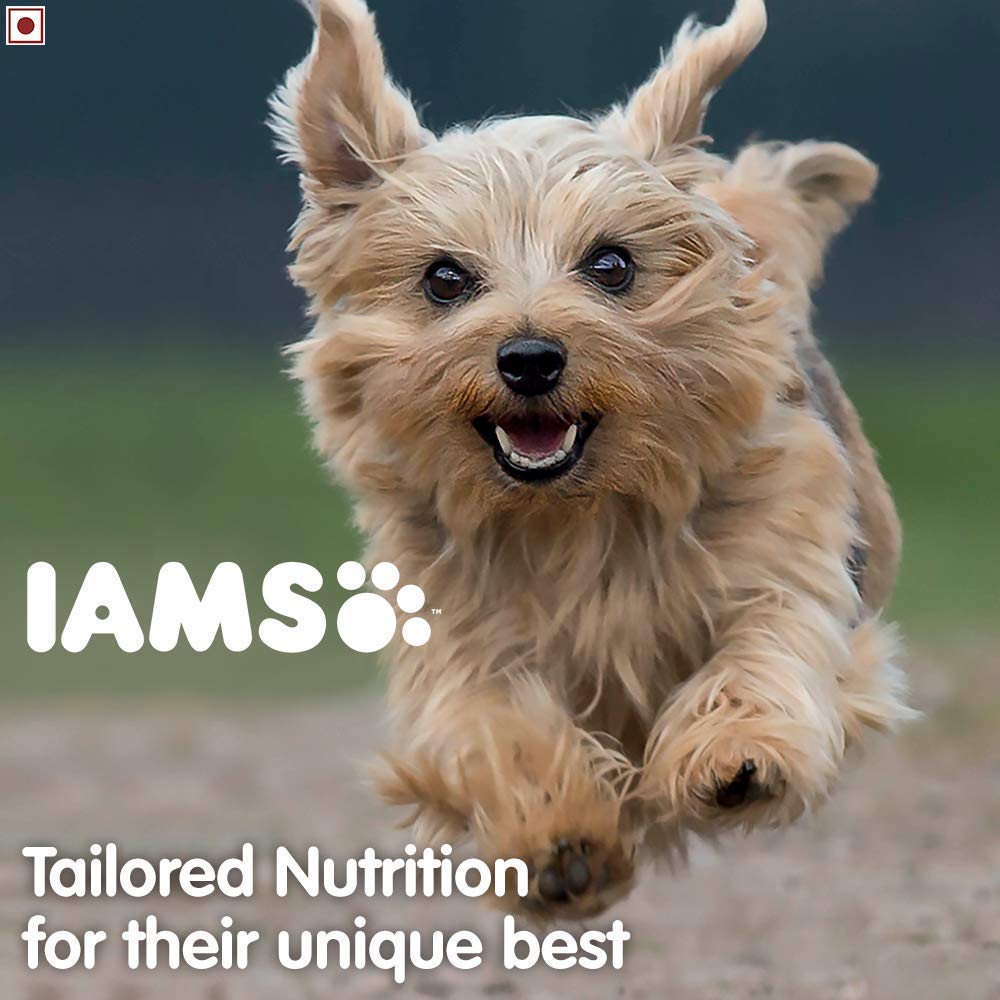 IAMS Proactive Health Smart Puppy Small & Medium Breed Dry Dog Food (<1 Years)-9