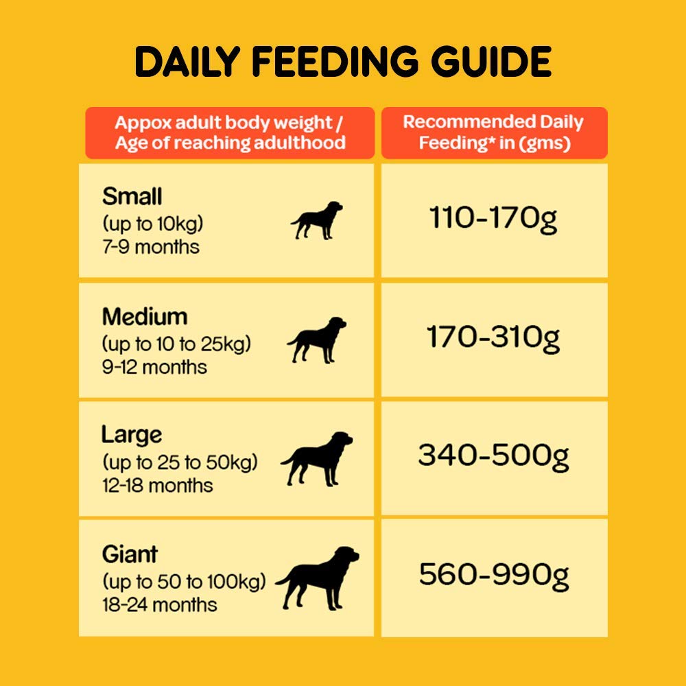 Pedigree Meat & Vegetables Adult Dry Dog Food - 20 kg - Heads Up For Tails
