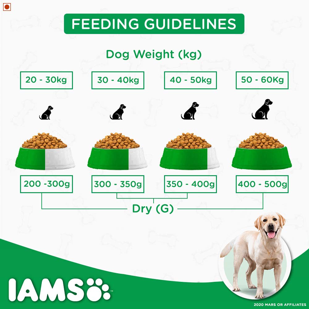 IAMS Proactive Health Labrador Retriever Adult Dry Dog Food (1.5+ Years) - Heads Up For TailsIAMS Proactive Health Labrador Retriever Adult Dry Dog Food (1.5+ Years)