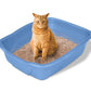 Emily Pets Fresh Scented Premium Bentonite Cat Litter Apple - 5 L - Heads Up For Tails