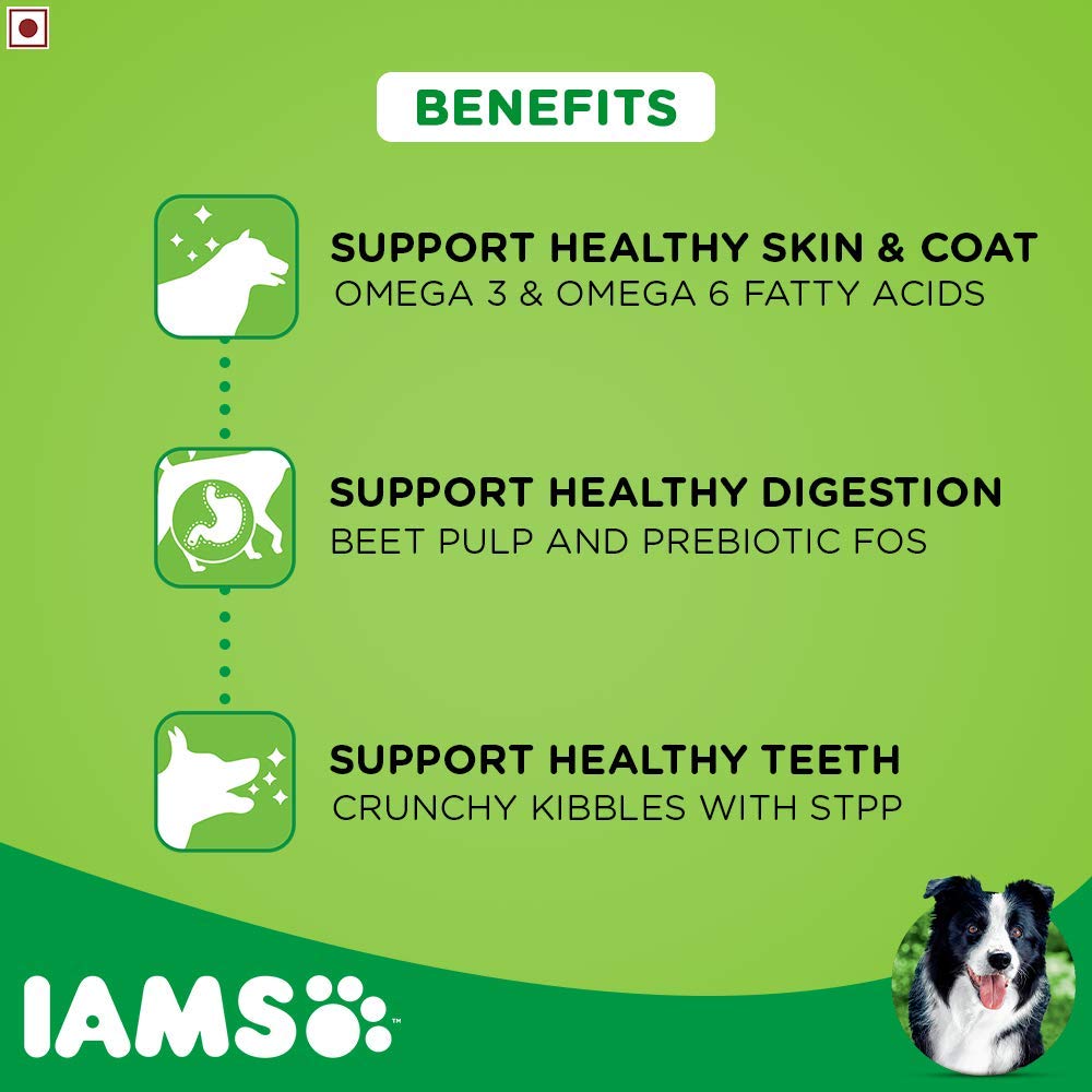 IAMS Proactive HealthSmall & Medium Breed Adult Dry Dog Food (Above 1+ Years) - Heads Up For Tails