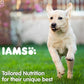 IAMS Proactive Health Smart Large Breed Dry Puppy Food (Below 2 Years)