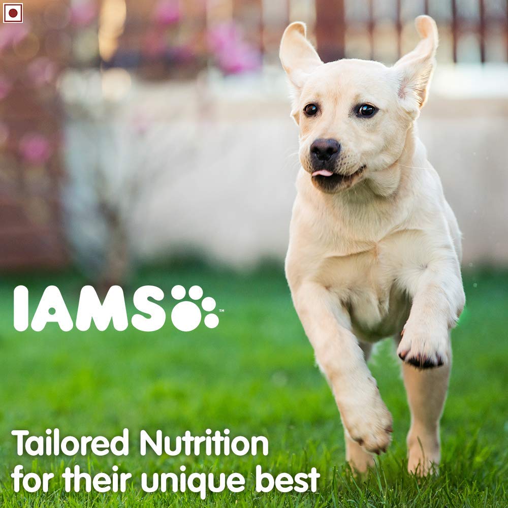 IAMS Proactive Health Smart Large Breed Dry Puppy Food (Below 2 Years)