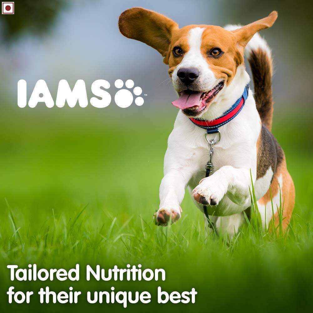 IAMS Proactive HealthSmall & Medium Breed Adult Dry Dog Food (Above 1+ Years) - Heads Up For Tails