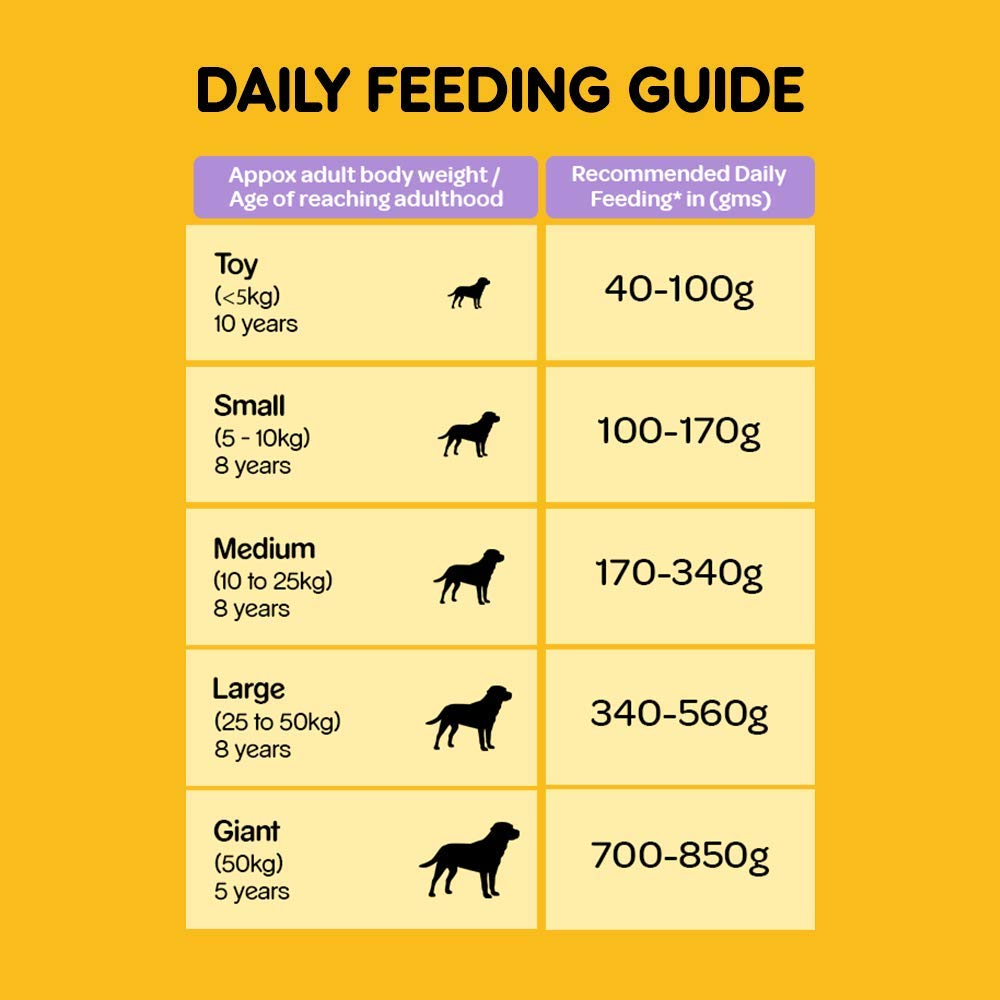 Pedigree Chicken and Rice Senior Dry Dog Food (All Breeds) - Heads Up For Tails
