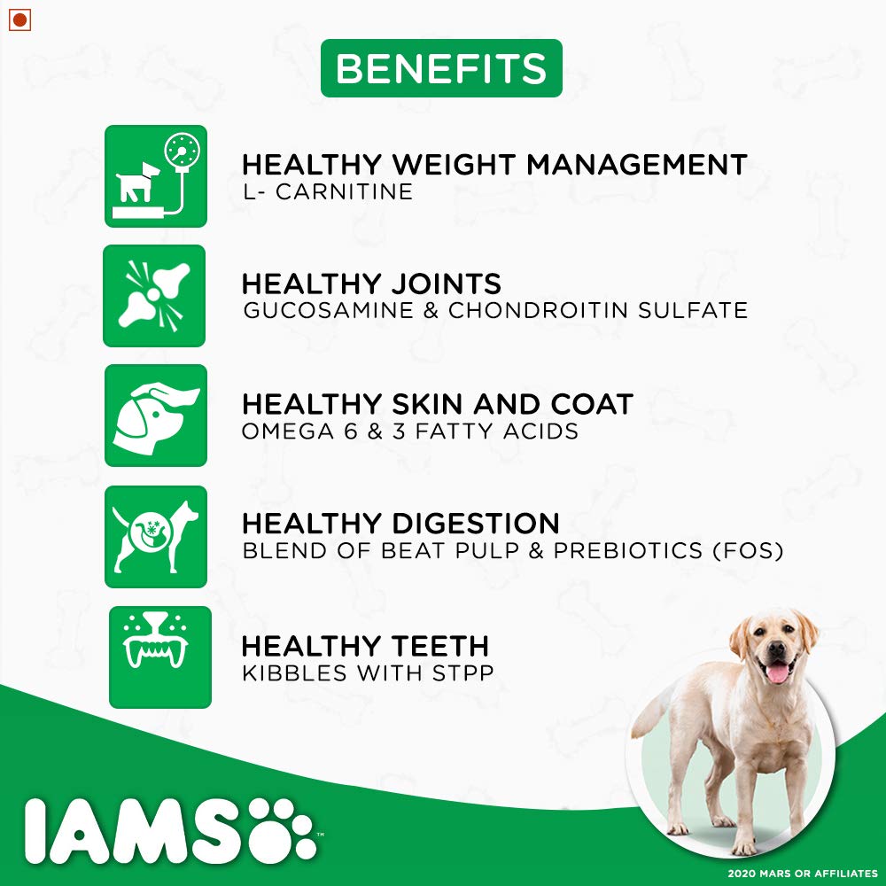 IAMS Proactive Health Labrador Retriever Adult Dry Dog Food (1.5+ Years)