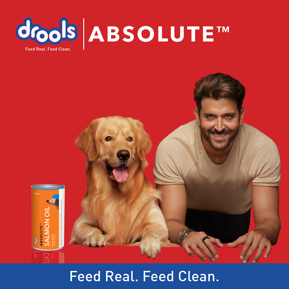 Drools Absolute Salmon Oil Syrup For Dogs - Heads Up For Tails