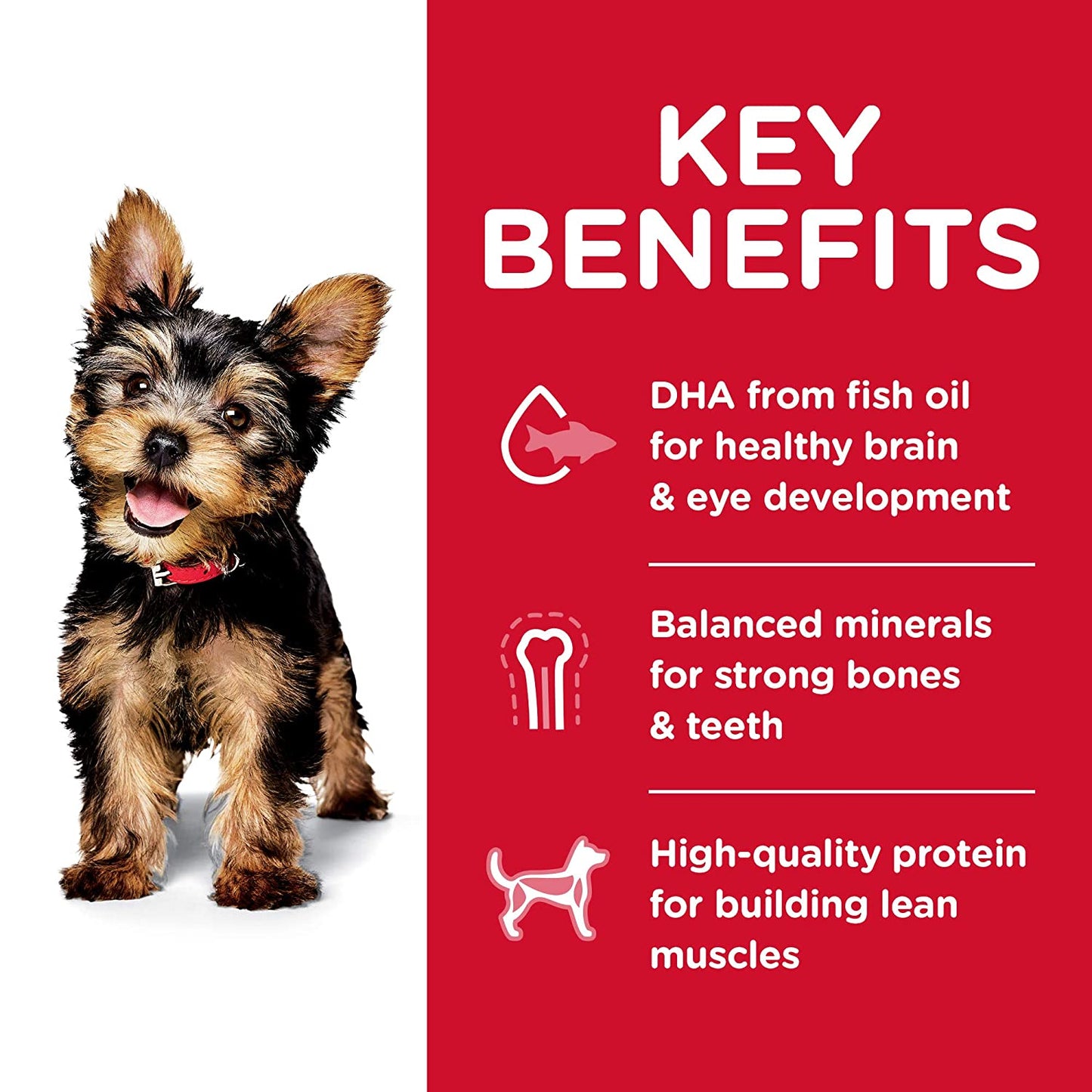 Hill's Science Diet Puppy Small Paws Dog Food - Chicken Meal, Barley & Brown Rice Recipe - 1.5 kg - Heads Up For Tails