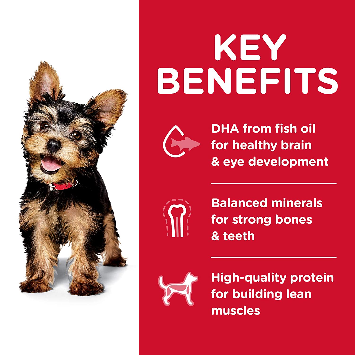 Hill's Science Diet Puppy Small Paws Dog Food - Chicken Meal, Barley & Brown Rice Recipe - 1.5 kg - Heads Up For Tails