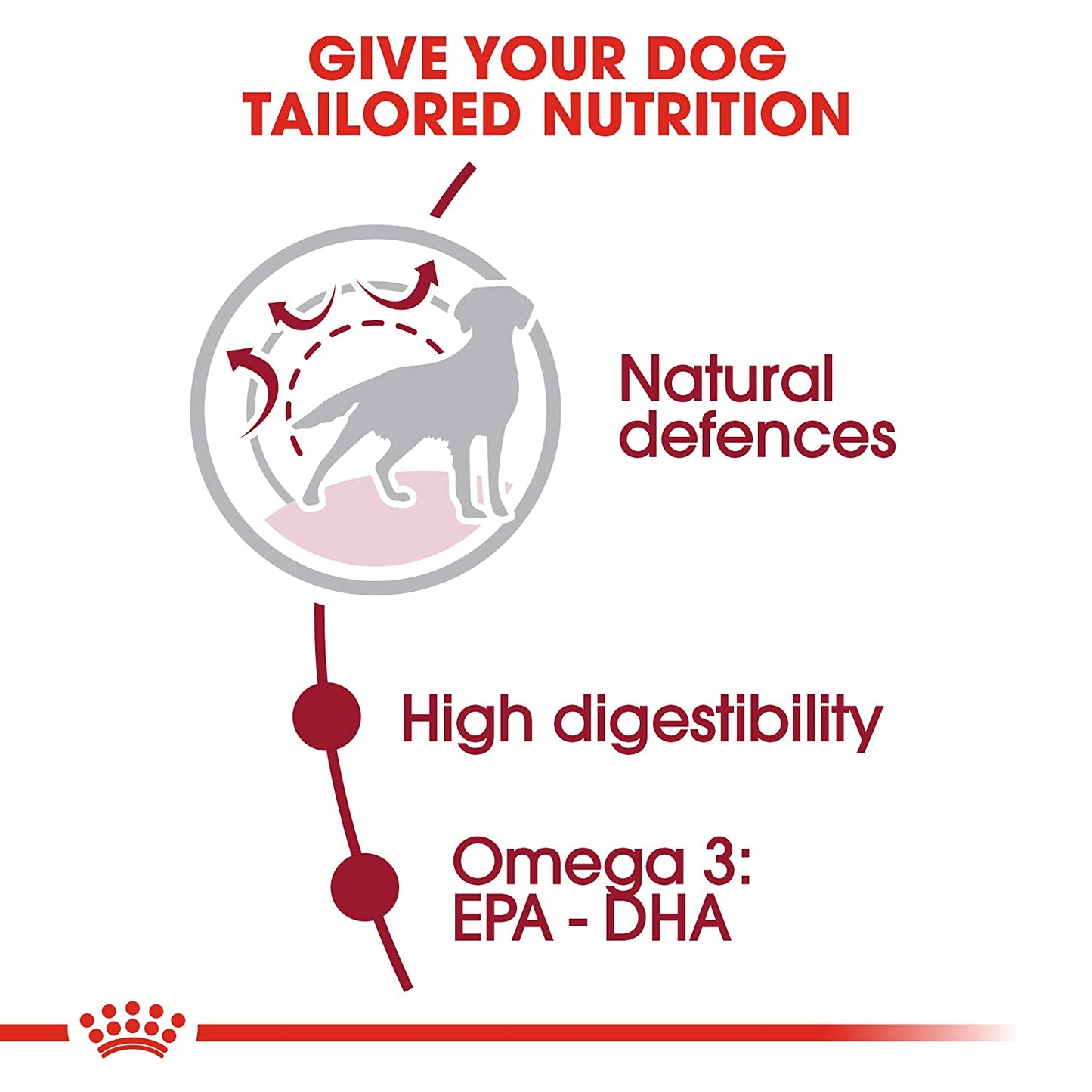 Royal Canin Medium Breed Adult Dry Dog Food-5