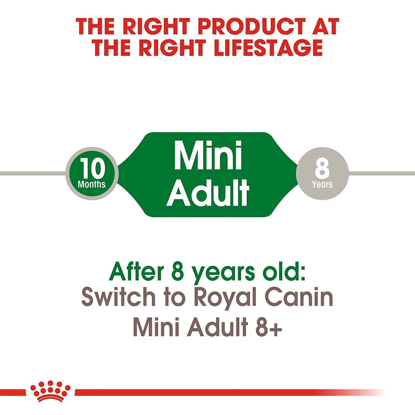 Royal Canin Mini Breed Adult Dry Dog Food-6