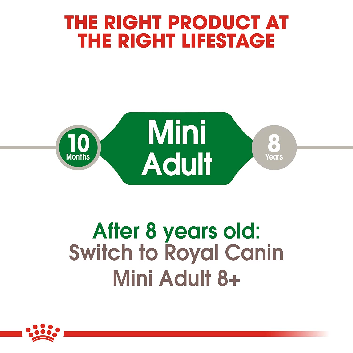 Royal Canin Mini Breed Adult Dry Dog Food-6