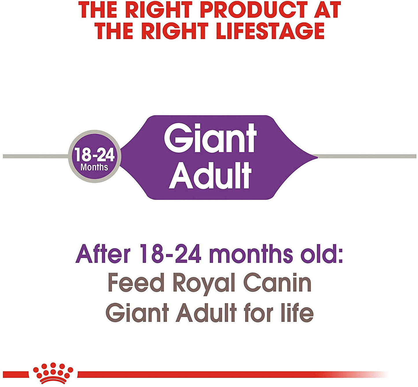 Royal Canin Giant Breed Adult Dry Dog Food-5