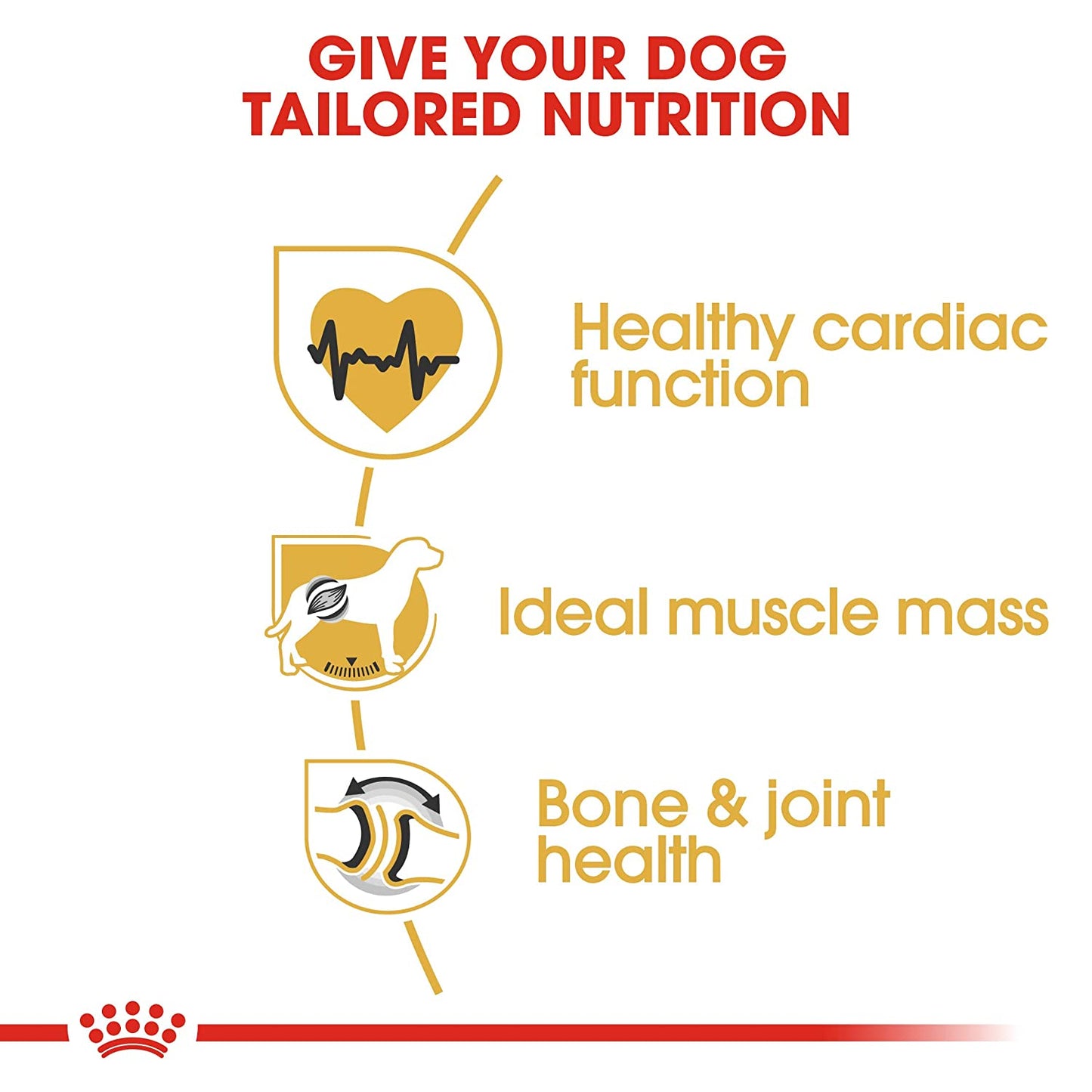 Royal Canin Rottweiler Adult Dog Food-4