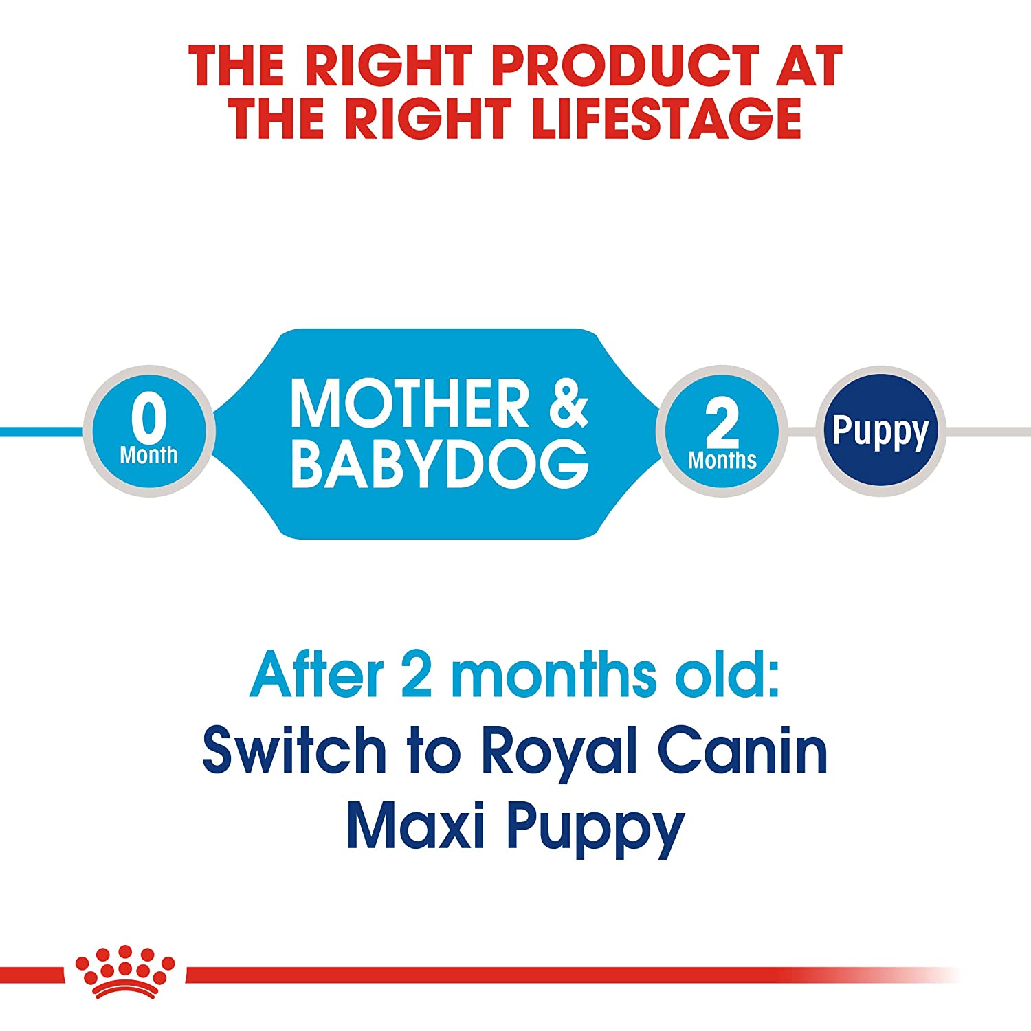 Royal Canin Maxi Breed Starter Puppy Food-6