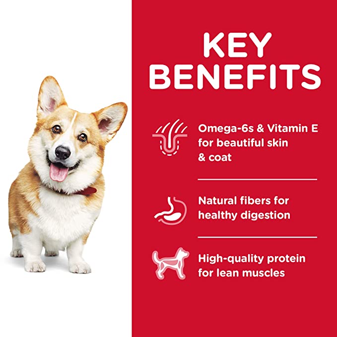 Hill's Science Diet Adult Advanced Fitness, Small Bites Chicken & Barley Recipe Dry Dog Food, 2 kg - Heads Up For Tails