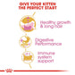 Royal Canin Persian Dry Kitten Food-3
