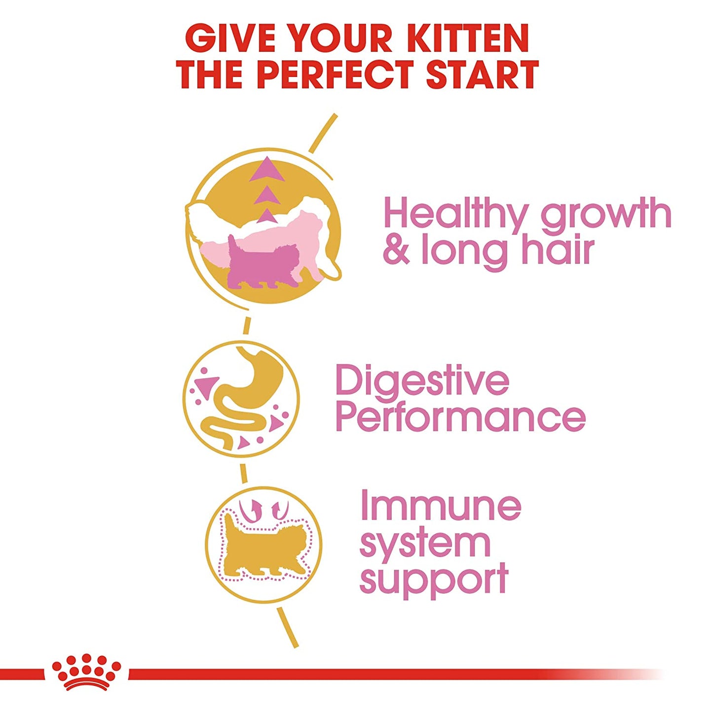 Royal Canin Persian Dry Kitten Food-3