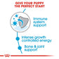 Royal Canin Giant Breed Dry Puppy Food-2