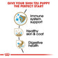 Royal Canin Shih Tzu Dry Puppy Food - 1.5 kg-3