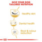 Royal Canin Shih Tzu Adult Dry Dog Food-3