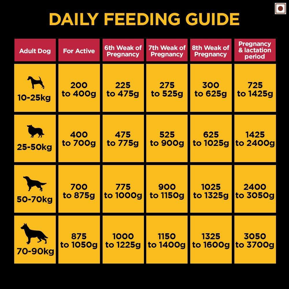 Pedigree Professional Active Adult Dry Dog Food - Heads Up For Tails