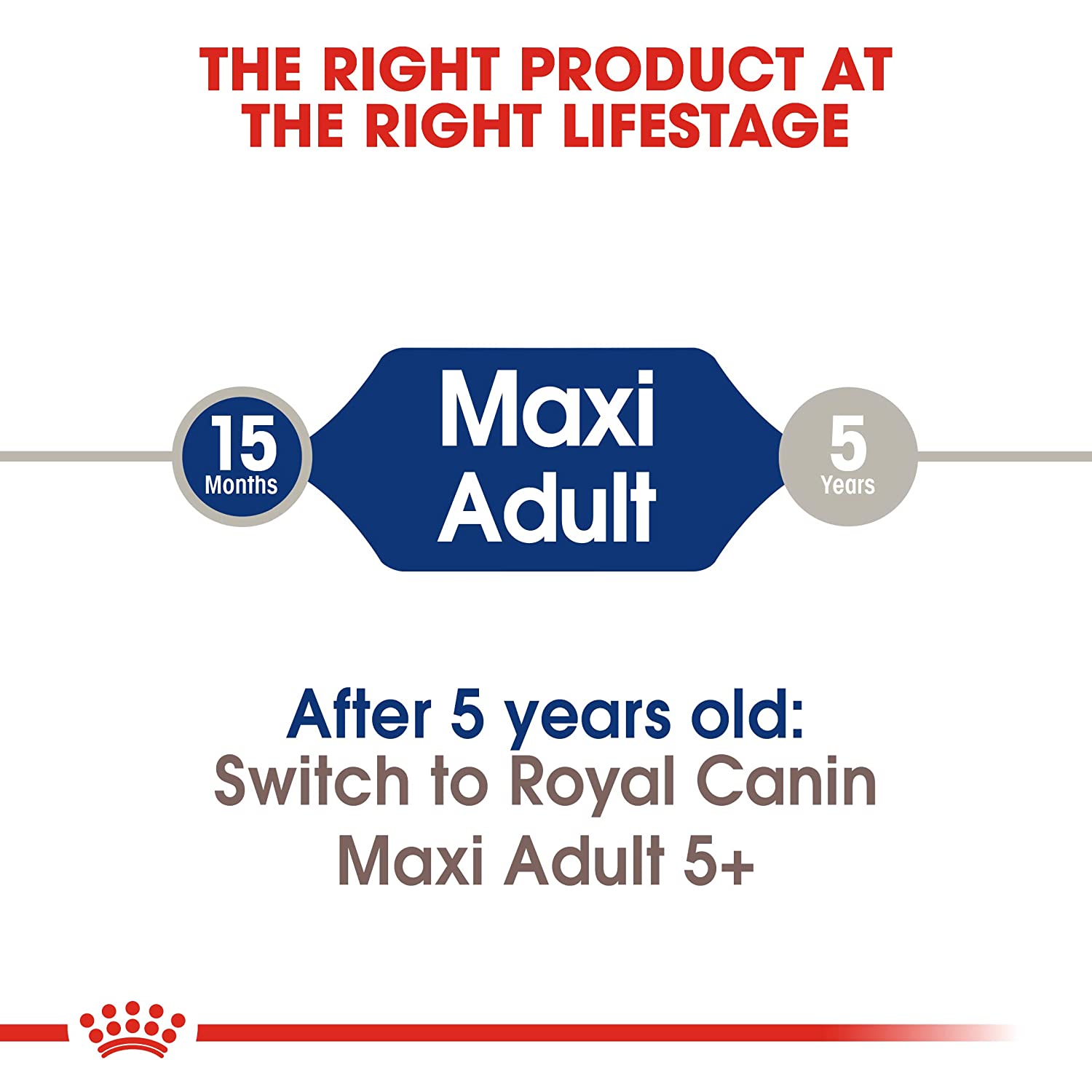 Royal Canin Maxi Breed 5+ Adult Dry Dog Food - 4 kg-6