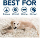 Bramton Simple Solution Multi-Surface Dog & Cat Stain & Odour Cleaner Spray - 750 ml - Heads Up For Tails