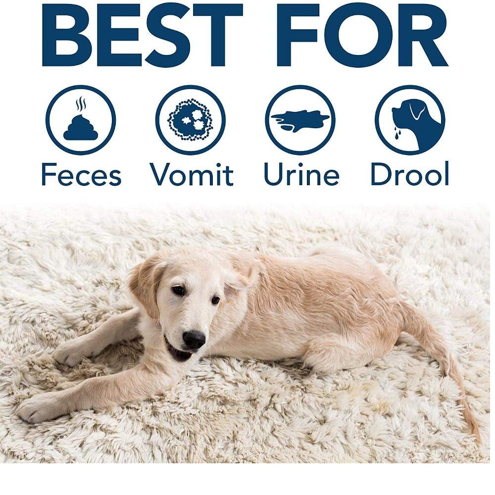 Bramton Simple Solution Multi-Surface Dog & Cat Stain & Odour Cleaner Spray - 750 ml - Heads Up For Tails
