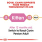 Royal Canin Persian Dry Kitten Food-6