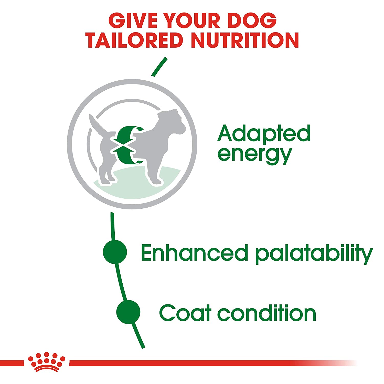 Royal Canin Mini Breed Adult Dry Dog Food-4