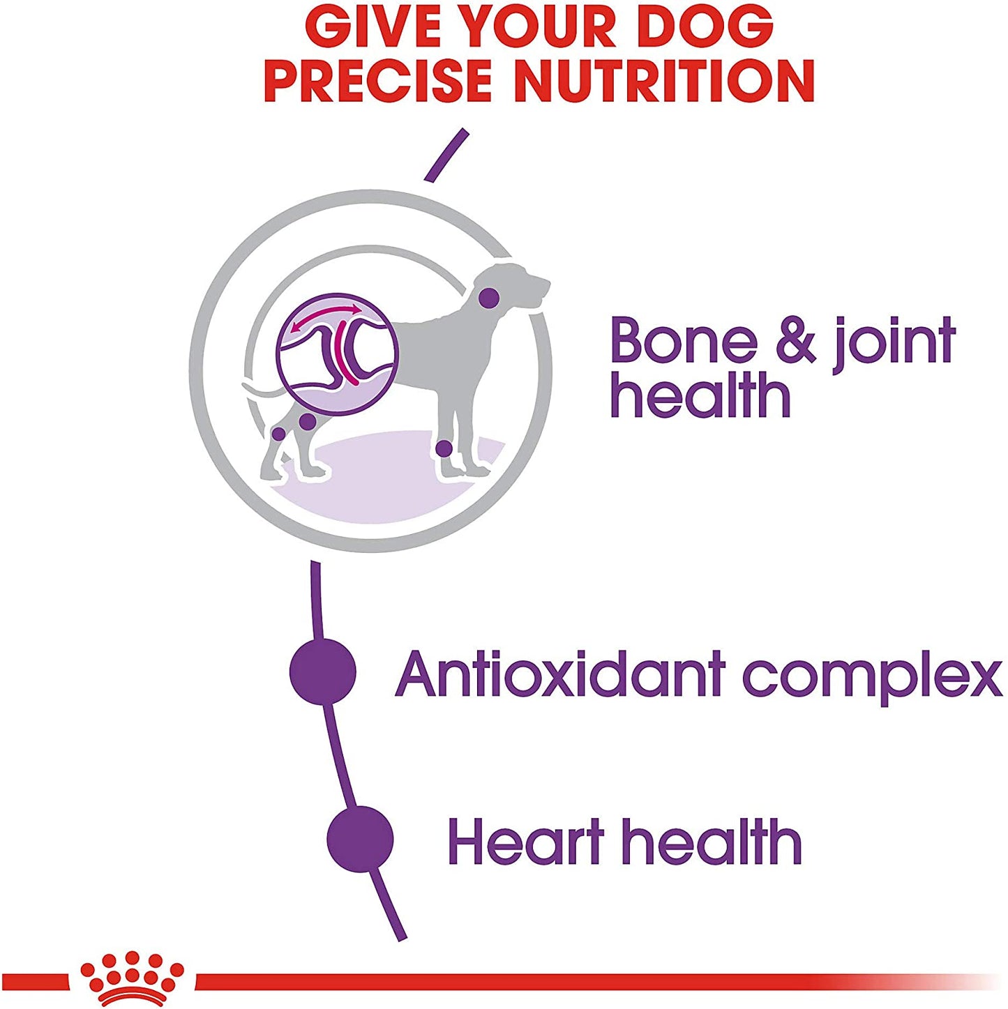Royal Canin Giant Breed Adult Dry Dog Food-3