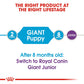 Royal Canin Giant Breed Dry Puppy Food-5