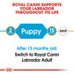 Royal Canin Labrador Retriever Dry Puppy Food-6