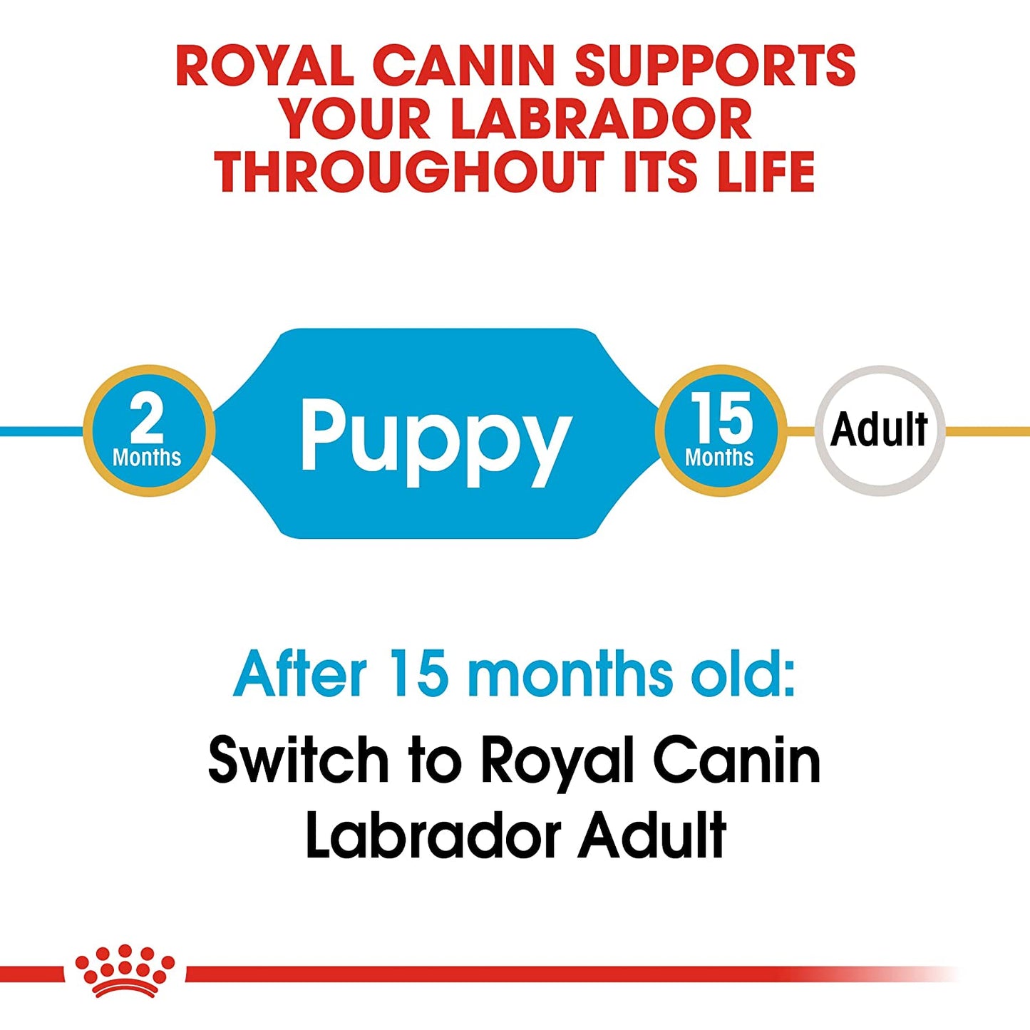 Royal Canin Labrador Retriever Dry Puppy Food-6