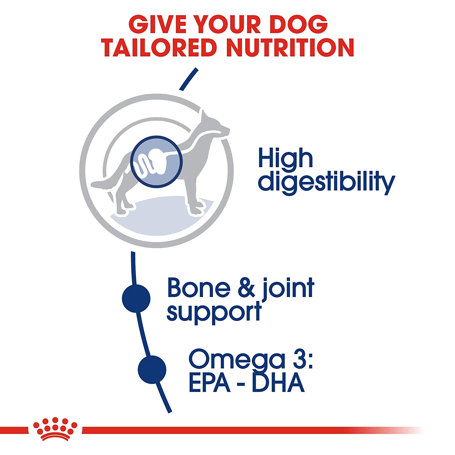 Royal Canin Maxi Breed 5+ Adult Dry Dog Food - 4 kg-4