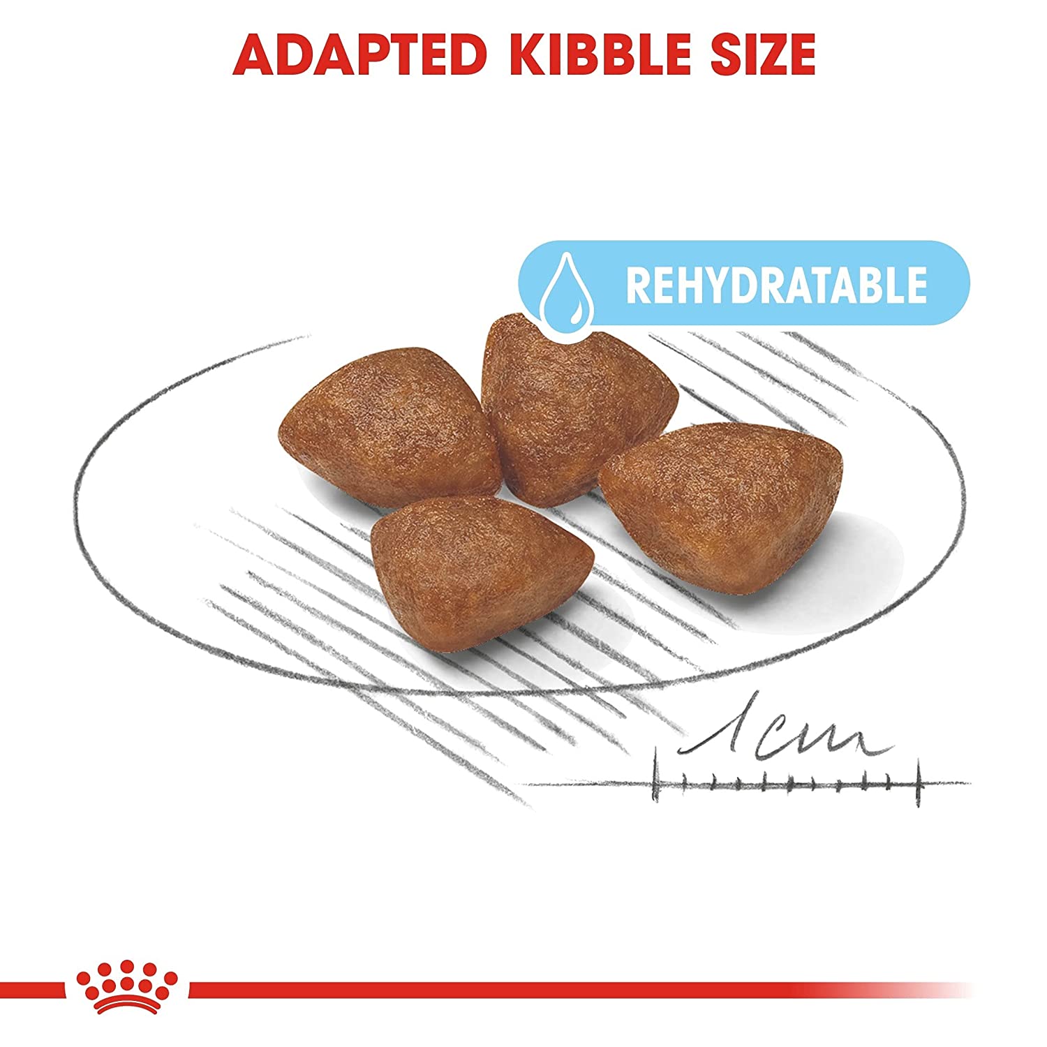 Royal Canin Mini Breed Starter Dry Puppy Food-3