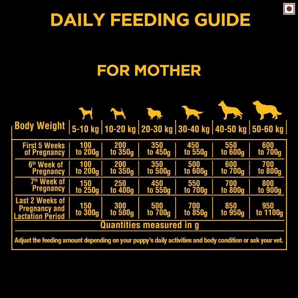 Pedigree PRO Expert Nutrition Lactating/Pregnant Mother & Pup (3-12 Weeks) Dry Dog Food Food3