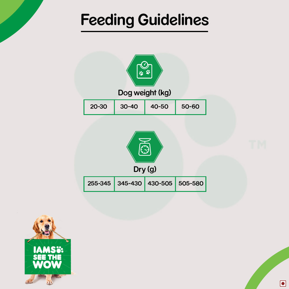 IAMS Proactive Health for Adult (1.5+ Years) Golden Retriever Premium Dry Dog Food - Heads Up For Tails