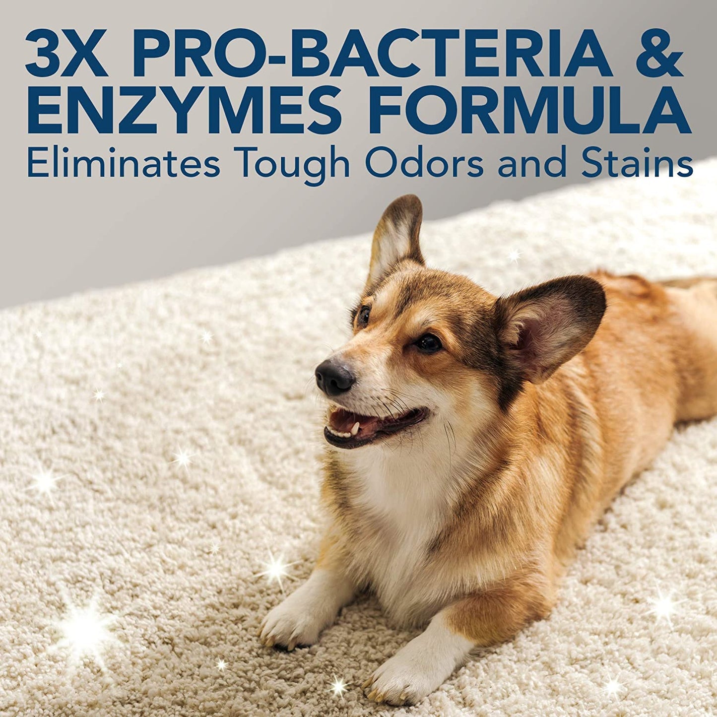 Bramton Simple Solution Extreme Stain & Odour Remover for Dogs - 500 ml - Heads Up For Tails