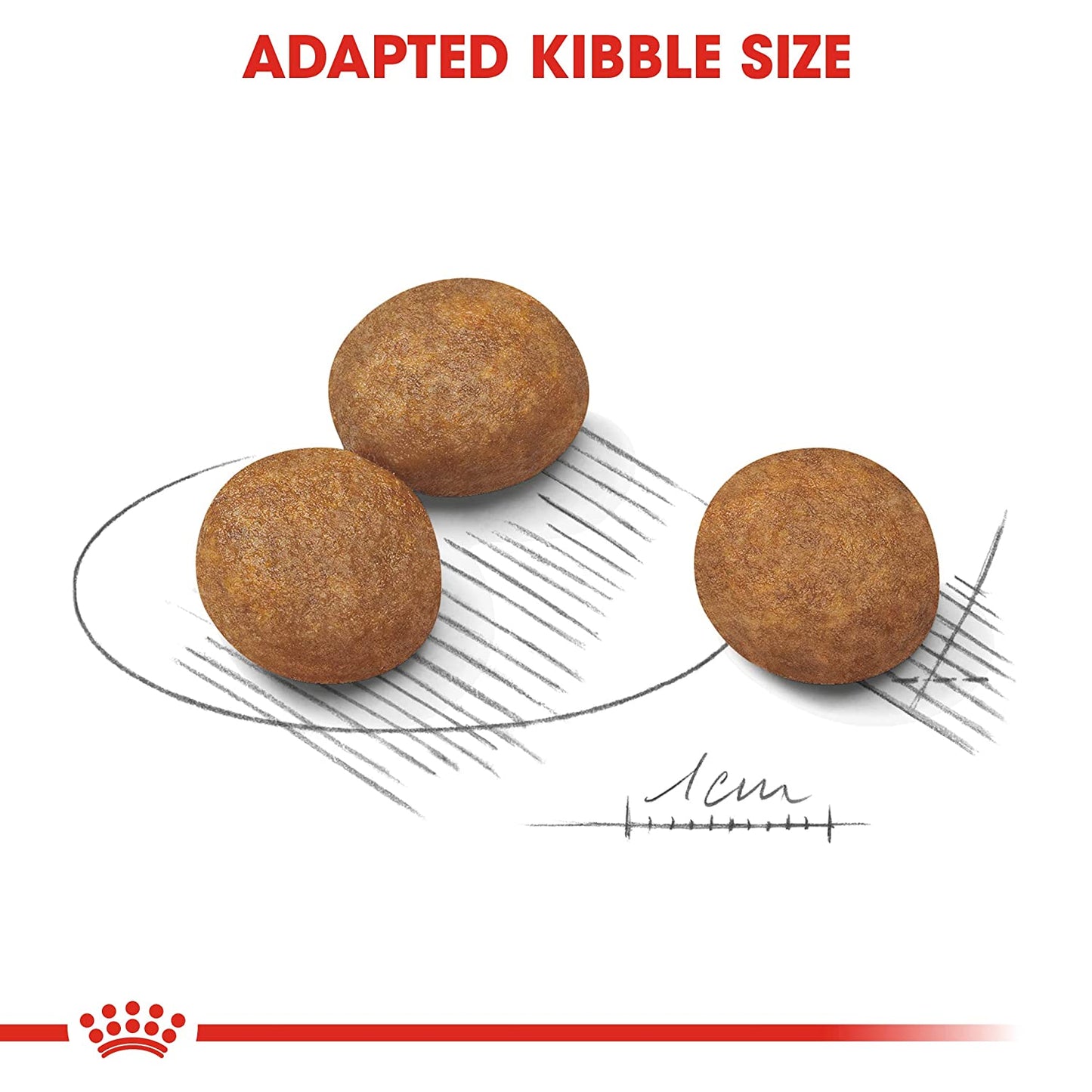 Royal Canin Maxi Breed Junior Dry Puppy Food-3